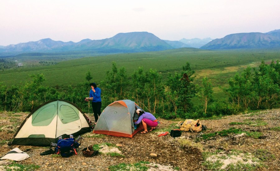 White Haired People on a&nbsp;Bus