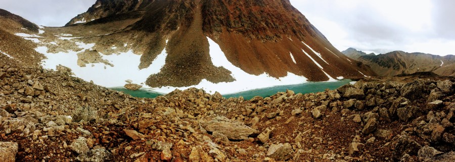 Sharing a bed with a tundra&nbsp;dog